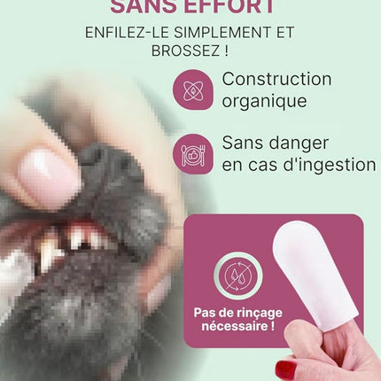 Lingettes Dentaires pour Chien & Chat – Doigtiers Nettoyants Sans Dentifrice – 35 Lingettes pour Hygiène Buccale Quotidienne