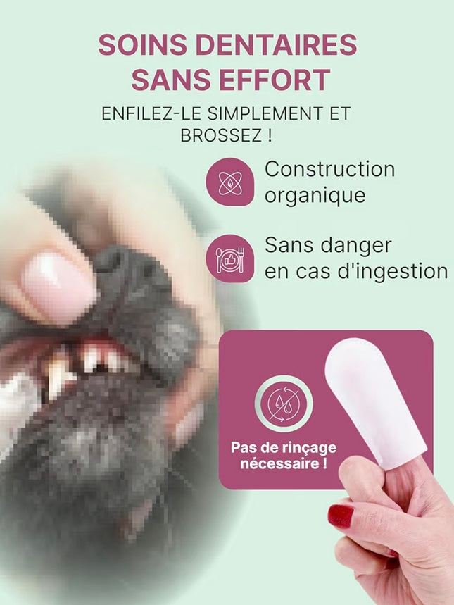 Lingettes Dentaires pour Chien & Chat – Doigtiers Nettoyants Sans Dentifrice – 35 Lingettes pour Hygiène Buccale Quotidienne