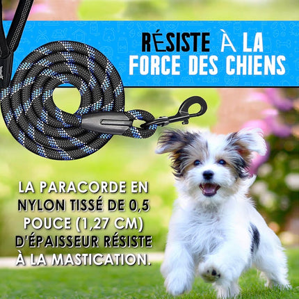 Laisse pour chien ultra-résistante en nylon avec poignée rembourrée – Mousqueton rotatif 360°