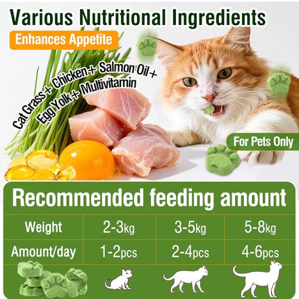 Friandises à l’herbe à chat pour chats – Aide anti-boules de poils et digestion