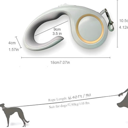 Laisse Rétractable pour Chien 5 m – Poignée Ergonomique et Frein à Une Main