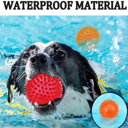 Lot de balles interactives pour chien – Balles couinantes résistantes et flottantes