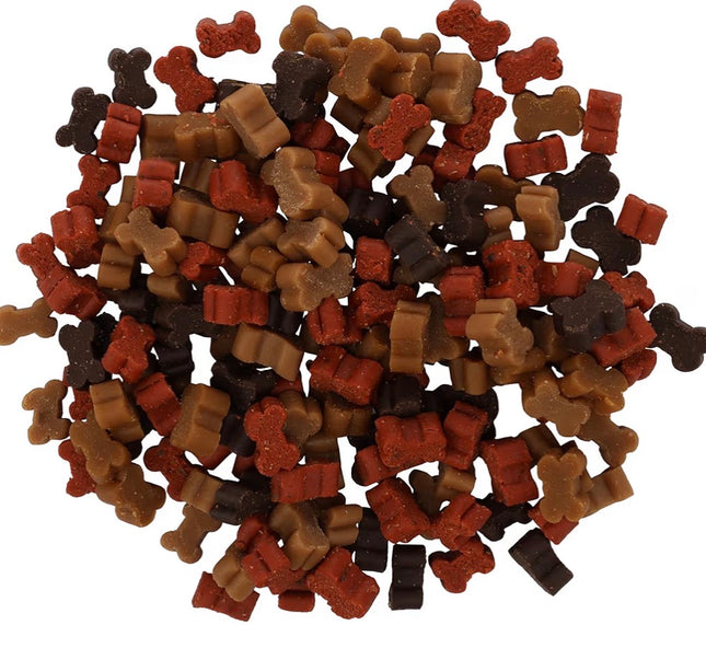 Friandises d’Entraînement pour Chien – Mini Bouchées Poulet & Saumon, Récompenses Éducatives