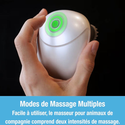 Masseur Électrique Relaxant pour Chien et Chat – Anti-Stress, Double Intensité
