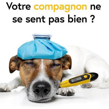 Thermomètre Chien & Chat iProven – Embout Flexible Ultra-Confort, Résultats Rapides