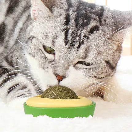 Jouet à l’herbe à chat rotatif – Stimulation, détente et hygiène pour chats