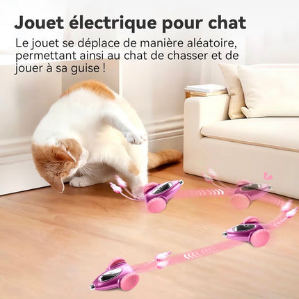 Jouet Interactif Intelligent pour Chat
