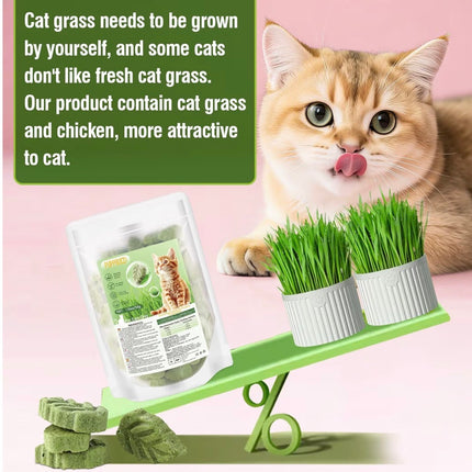 Feuilles d’Herbe à Chat Comestibles – Friandises Naturelles Anti-Boules de Poils (50 g)