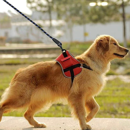 Laisse pour chien ultra-résistante en nylon avec poignée rembourrée – Mousqueton rotatif 360°