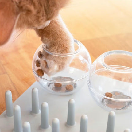 Jeu d’Enrichissement Alimentaire pour Chat – Plateau Anti-Glouton et Stimulation Mentale