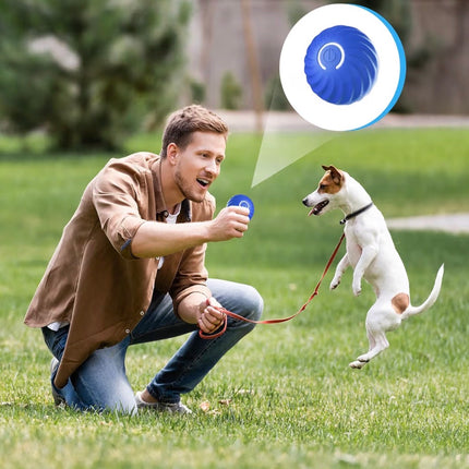 Balle interactive automatique pour chien – Rebond intelligent, rechargeable USB-C