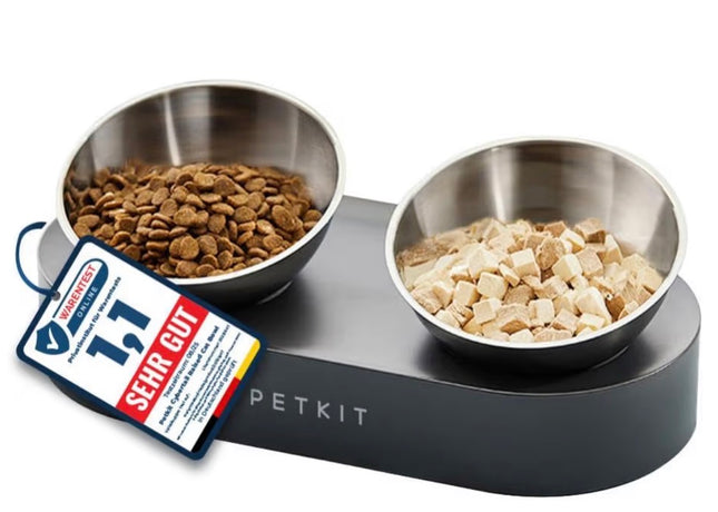 Gamelle Double Surélevée en Acier Inoxydable pour Chat et Petit Chien