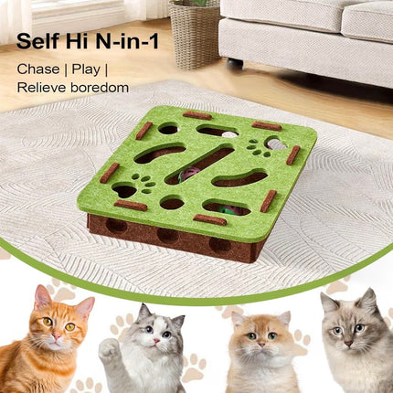 Jeu puzzle interactif pour chat – Stimulation mentale et divertissement