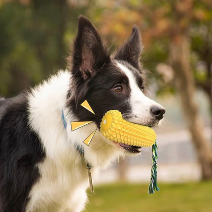 Jouet Dentaire pour Chien – Brosse à Dents Interactive et Résistante