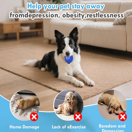 Balle interactive automatique pour chien – Rebond intelligent, rechargeable USB-C