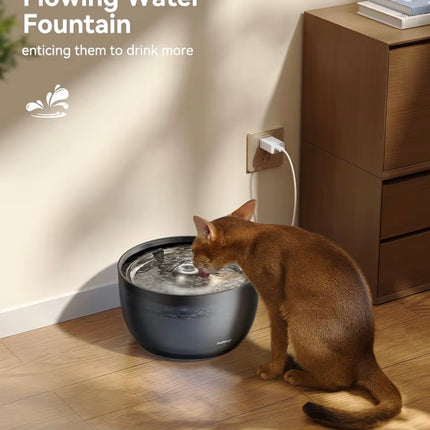 Distributeurs automatiques d’eau pour chats et chiens