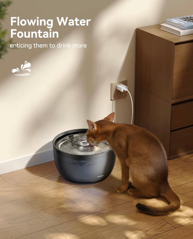Distributeurs automatiques d’eau pour chats et chiens