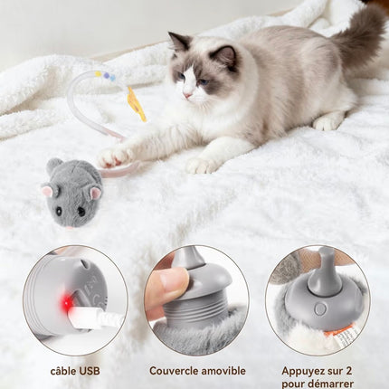 Jouet Interactif Intelligent pour Chat – Souris Électrique Rechargeable avec Catnip & Mouvement Réaliste