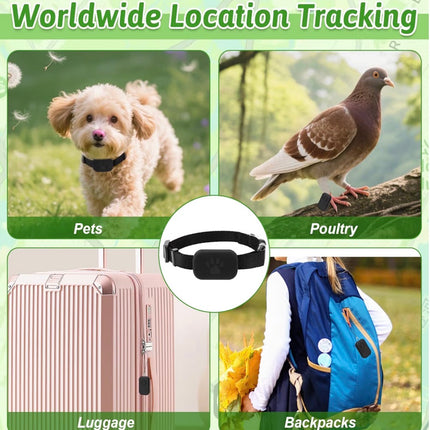 Traceur GPS Intelligent pour Chien et Chat – Localisation en Temps Réel, Léger et Étanche