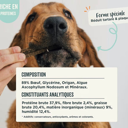 Sticks dentaires naturels pour chien – Goût bœuf 🥩 | Haleine fraîche & dents propres