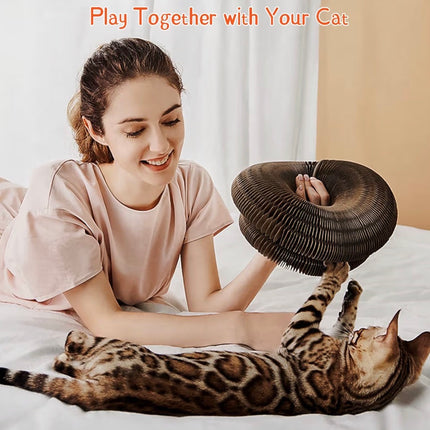 Jouet à Griffer Interactif pour Chat – Tunnel Modulable en Carton avec Balle