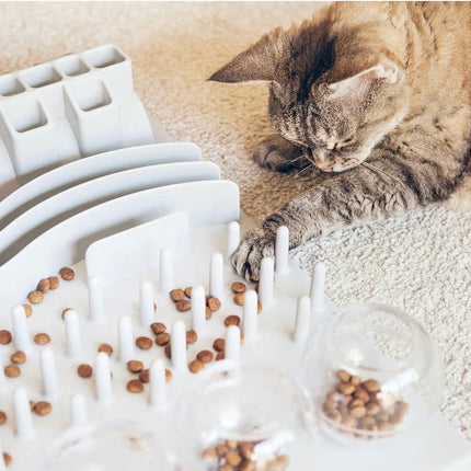 Jeu d’Enrichissement Alimentaire pour Chat – Plateau Anti-Glouton et Stimulation Mentale