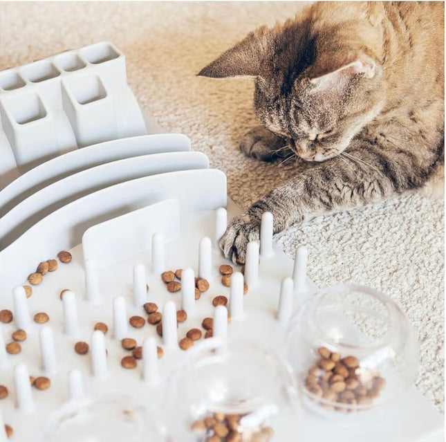 Jeu d’Enrichissement Alimentaire pour Chat – Plateau Anti-Glouton et Stimulation Mentale