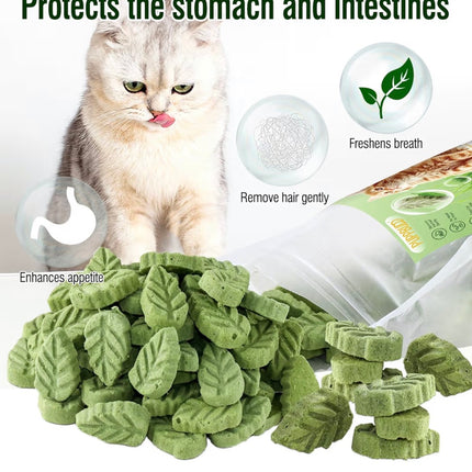 Feuilles d’Herbe à Chat Comestibles – Friandises Naturelles Anti-Boules de Poils (50 g)