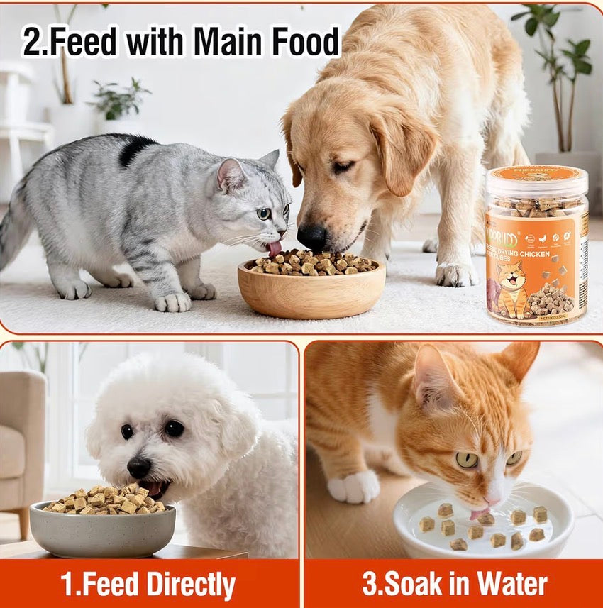 Friandises lyophilisées au foie de poulet pour chats – 100 % naturelles et riches en protéines