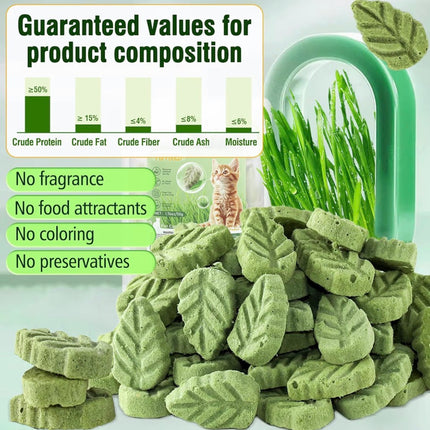 Feuilles d’Herbe à Chat Comestibles – Friandises Naturelles Anti-Boules de Poils (50 g)