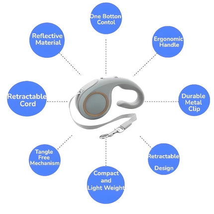 Laisse Rétractable pour Chien 5 m – Poignée Ergonomique et Frein à Une Main