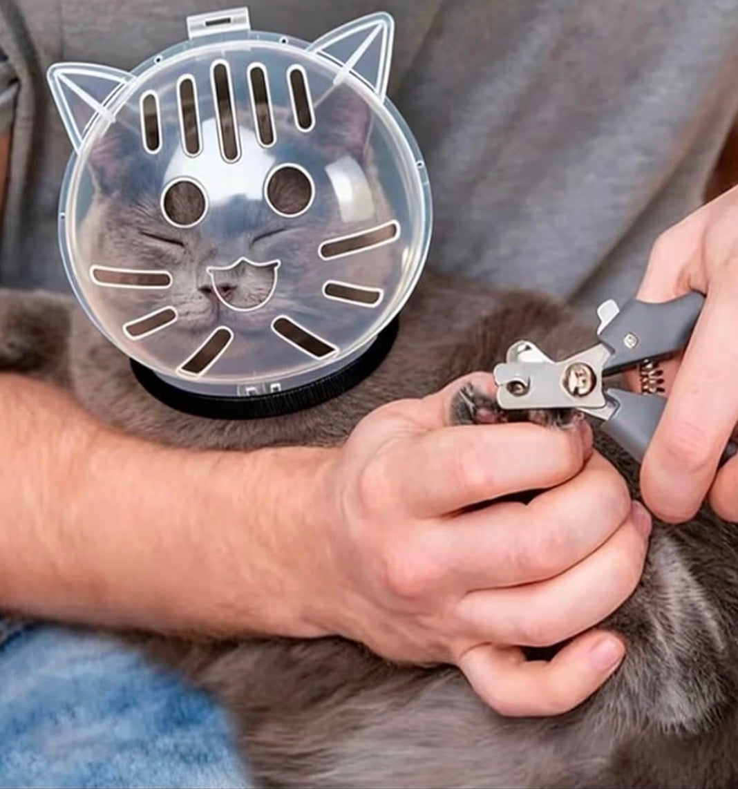 Masque de Protection Transparent pour Chat – Anti-Morsure, Réglable et Respirant