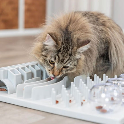 Jeu d’Enrichissement Alimentaire pour Chat – Plateau Anti-Glouton et Stimulation Mentale