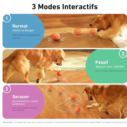 Balle interactive intelligente pour chien – 3 modes de jeu, rechargeable et résistante à l’eau
