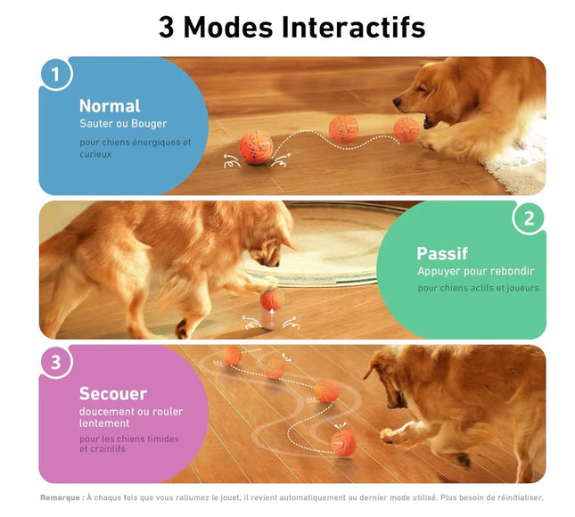Balle interactive intelligente pour chien – 3 modes de jeu, rechargeable et résistante à l’eau