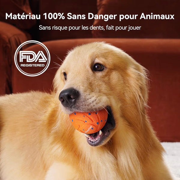 Jouets pour chiens
