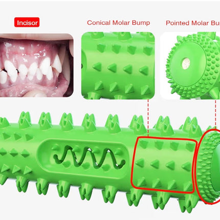 Jouet Dentaire pour Chien – Brosse à Dents Interactive et Résistante