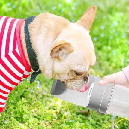 Gourde Portable pour Chiens – Anti-Fuite & Bol Intégré