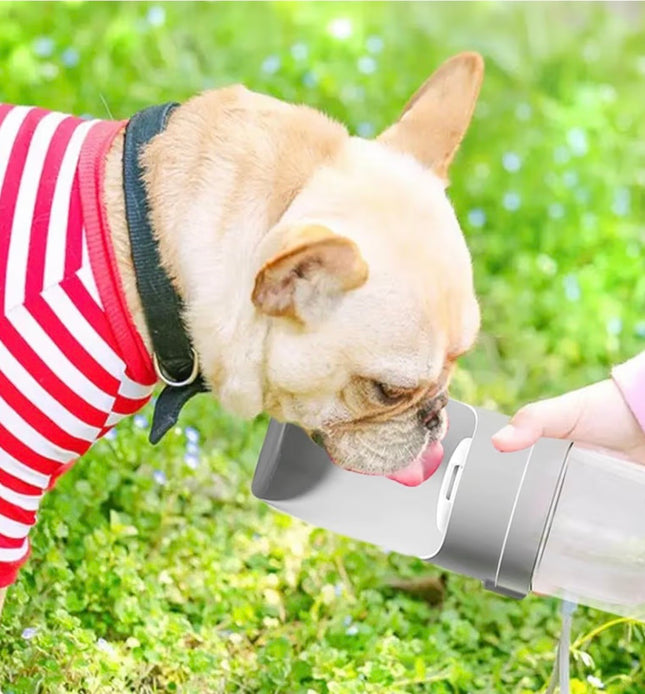 Gourde Portable pour Chiens – Anti-Fuite & Bol Intégré
