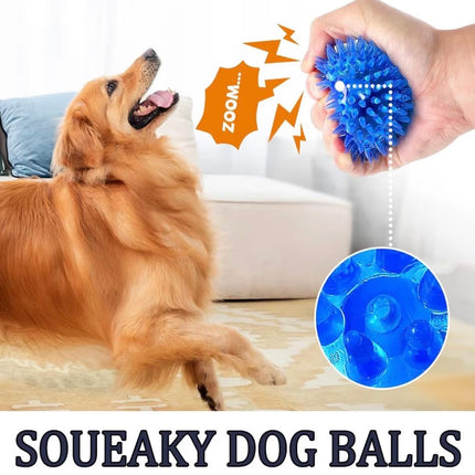 Lot de balles interactives pour chien – Balles couinantes résistantes et flottantes