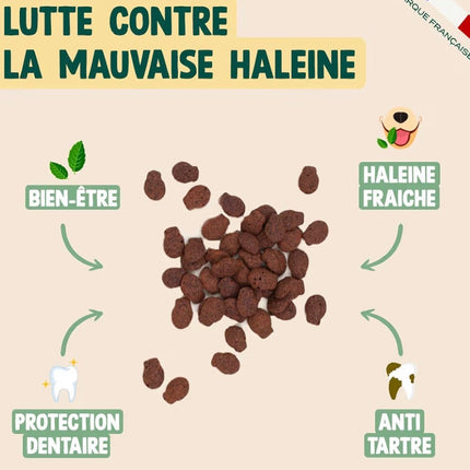 Friandises dentaires pour chat au saumon et à la menthe – Haleine fraîche et anti-tartre