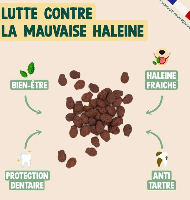 Friandises dentaires pour chat au saumon et à la menthe – Haleine fraîche et anti-tartre