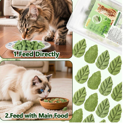 Feuilles d’Herbe à Chat Comestibles – Friandises Naturelles Anti-Boules de Poils (50 g)