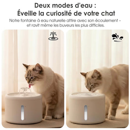 Fontaine à Eau Automatique Silencieuse pour Chat – 2,5 L avec Filtration Multi-Étapes