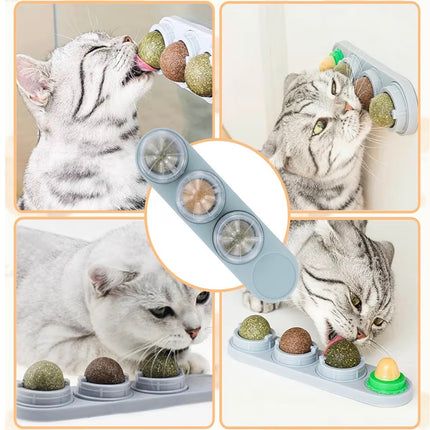 Jouet à lécher pour chat avec boules à herbe à chat – Anti-stress et hygiène dentaire