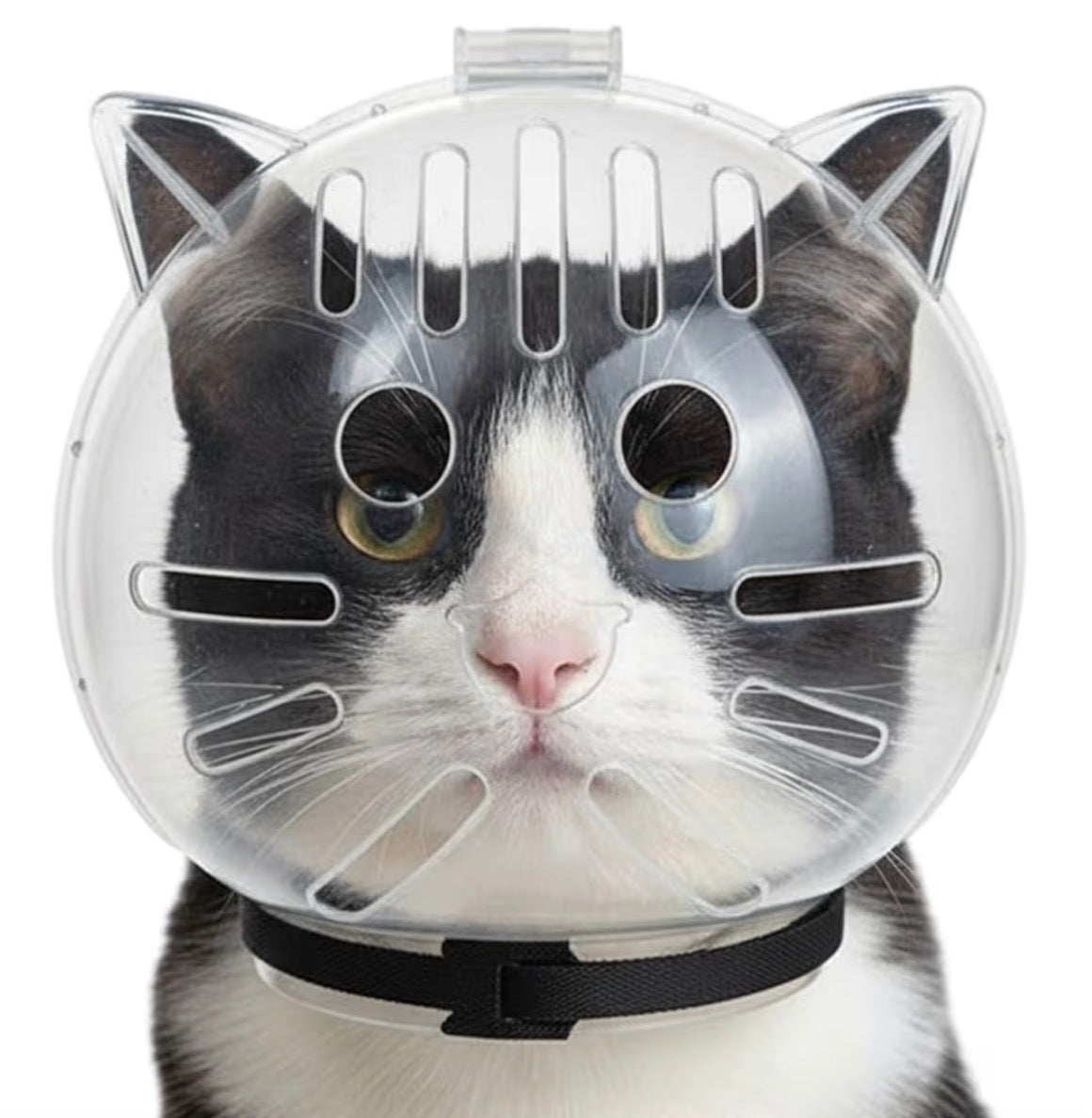 Masque de Protection Transparent pour Chat – Anti-Morsure, Réglable et Respirant