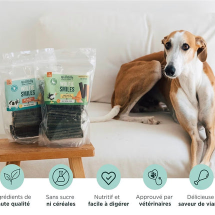 Sticks dentaires naturels pour chien – Goût bœuf 🥩 | Haleine fraîche & dents propres