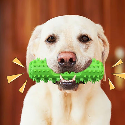 Jouet Dentaire pour Chien – Brosse à Dents Interactive et Résistante