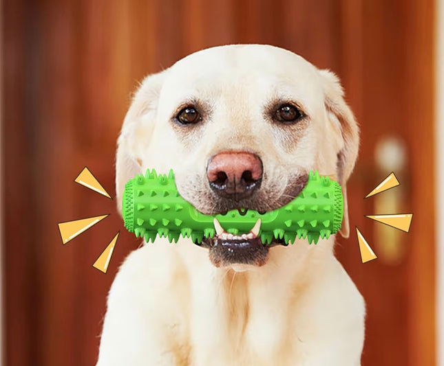 Jouet Dentaire pour Chien – Brosse à Dents Interactive et Résistante