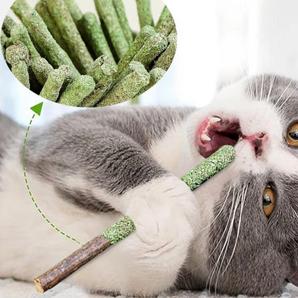 Bâtonnets à mâcher naturels à la cataire pour chat – Hygiène dentaire & anti-boules de poils